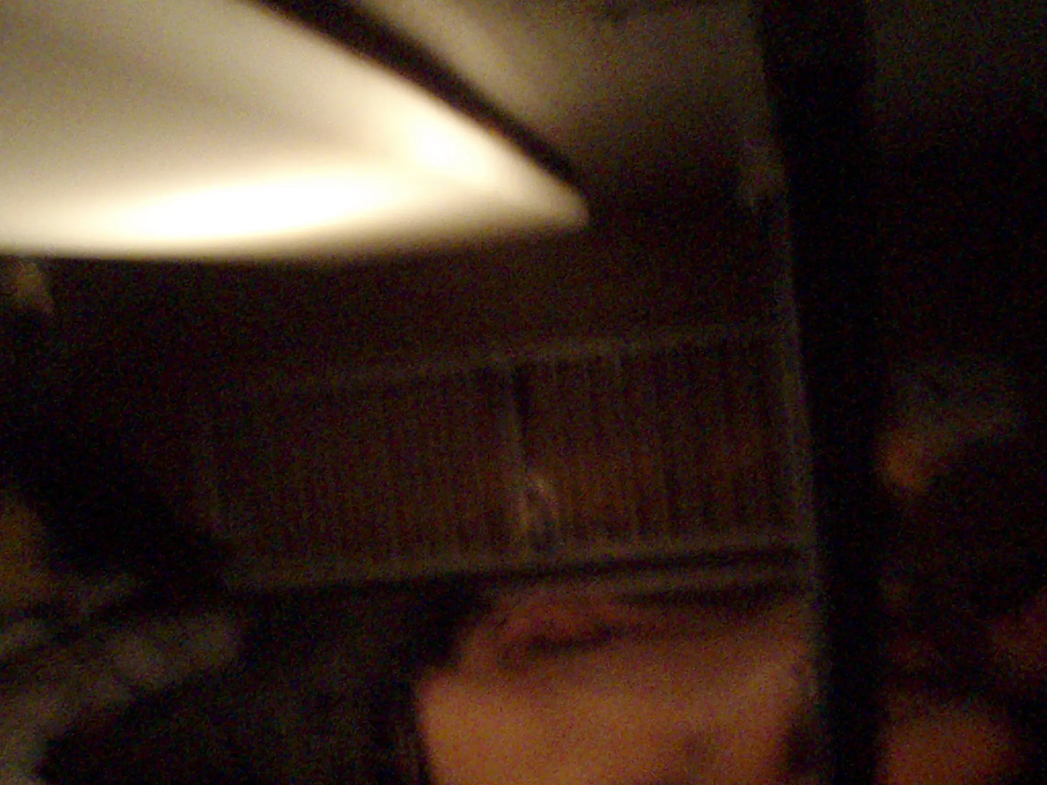 Fingers in my pussy on the night train